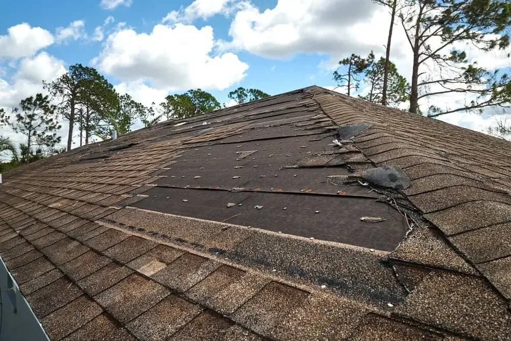 Quality Roof Repair 