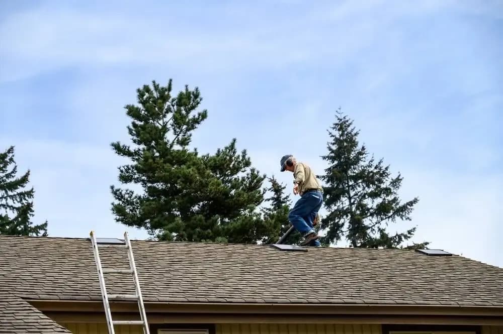 Roof Maintenance